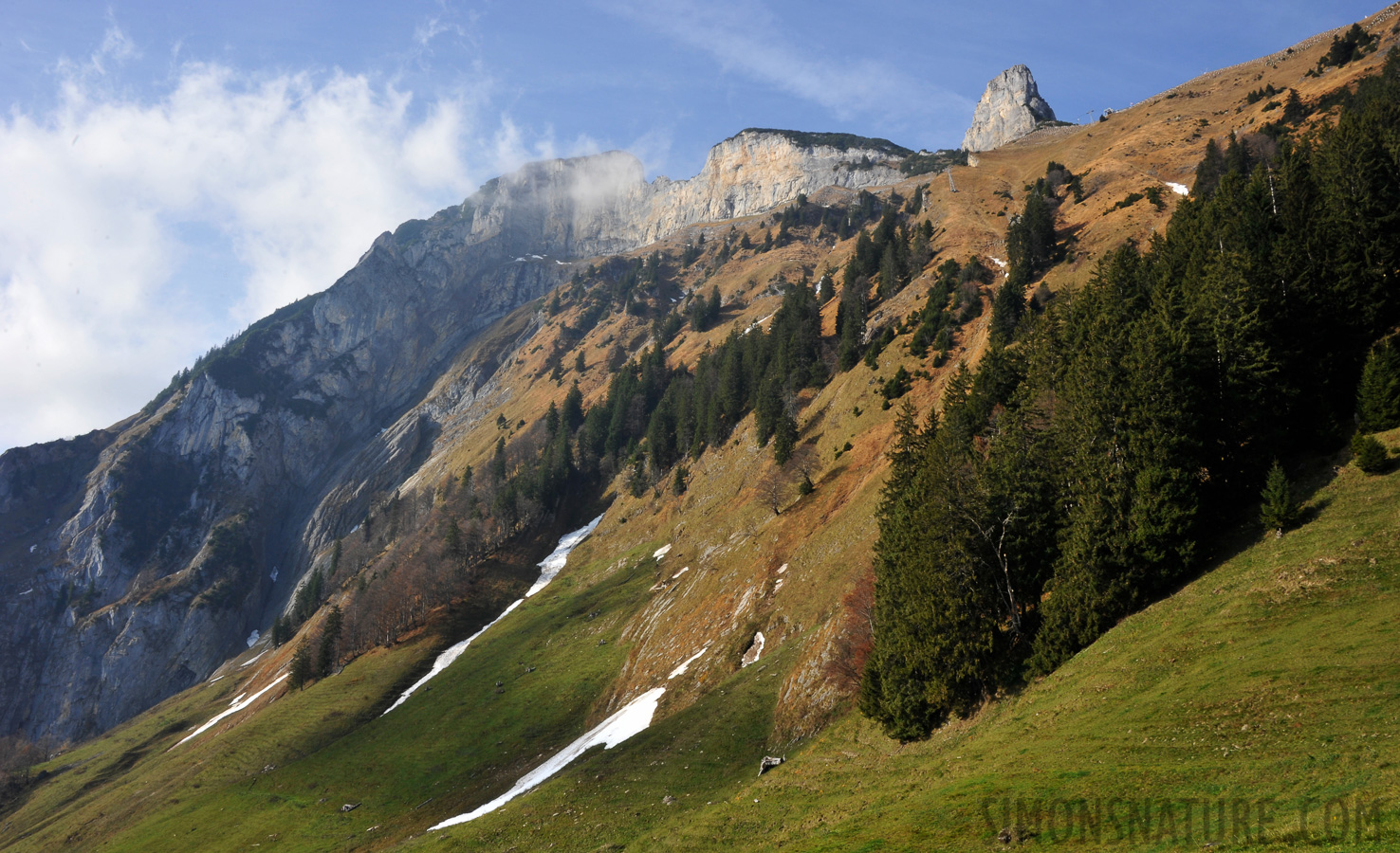 It continues over alpine meadows [28 mm, 1/80 sec at f / 22, ISO 400]